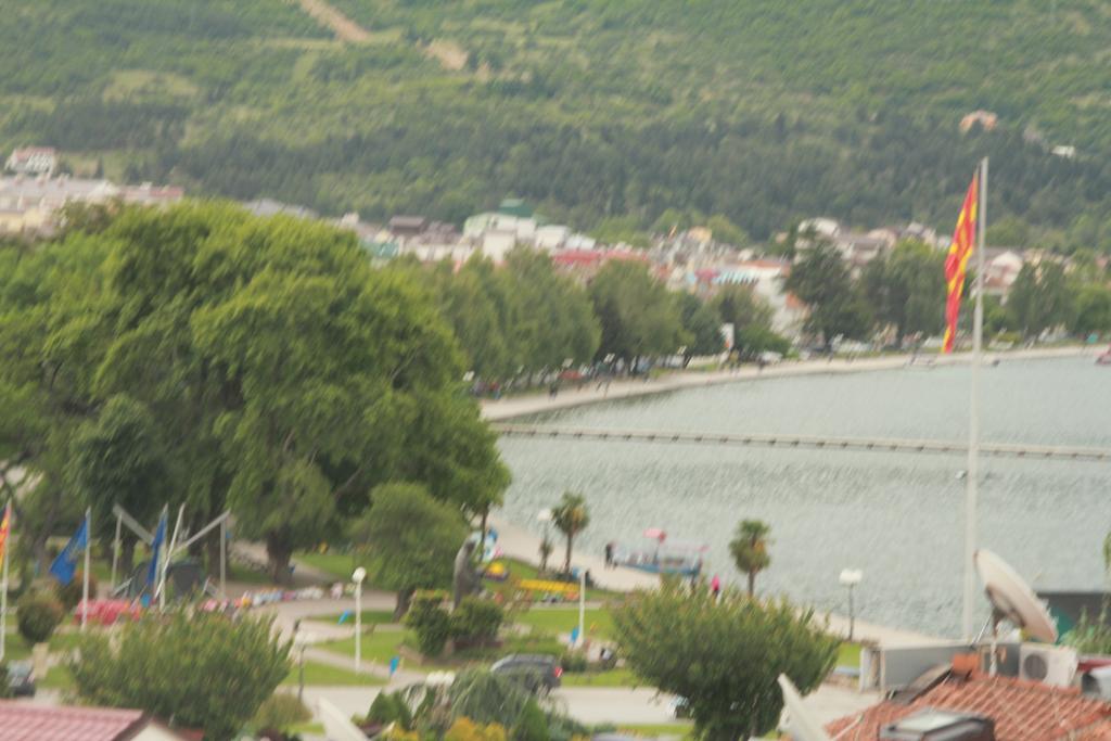 Villa Dudinka Ohrid Ruang foto